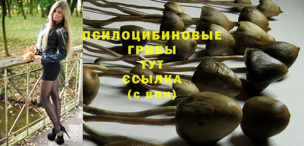 ГАЛЛЮЦИНОГЕННЫЕ ГРИБЫ Алзамай