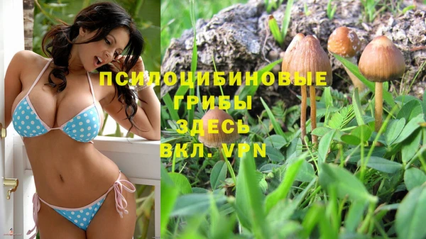 амфетамин Алексин