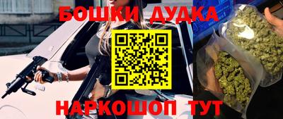 скорость Новозыбков