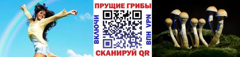 Псилоцибиновые грибы ЛСД  где купить наркоту  Южно-Сахалинск 