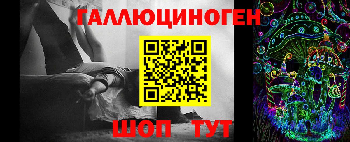 Псилоцибиновые грибы Psilocybine cubensis Южно-Сахалинск